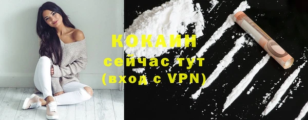 сатива Медногорск