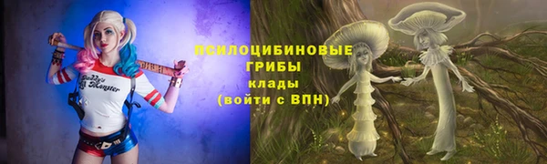 прущий лед Медвежьегорск
