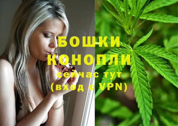 сатива Медногорск