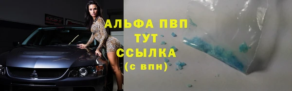 сатива Медногорск